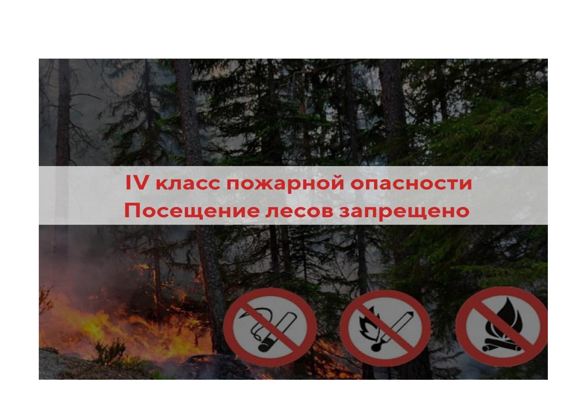 ВНИМАНИЕ IV класс пожарной опасности Посещение лесов запрещено.